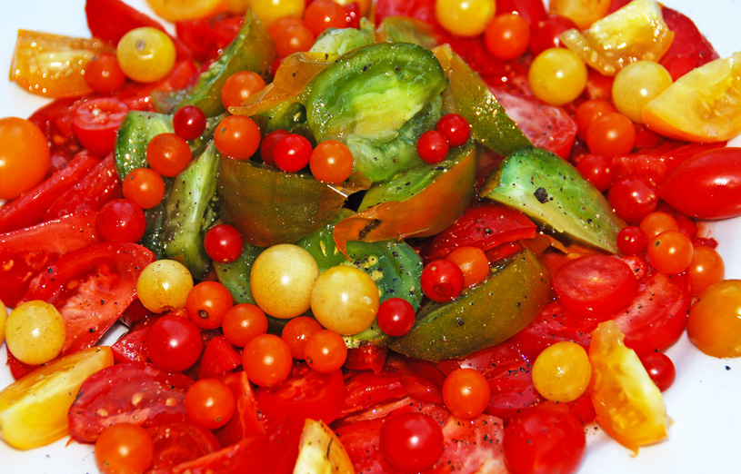 Sonnengereifte Tomaten schmecken haben einen intensiven Geschmack